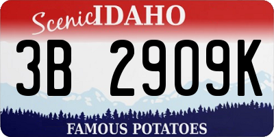 ID license plate 3B2909K