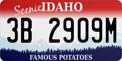 ID license plate 3B2909M