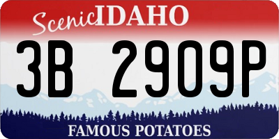 ID license plate 3B2909P