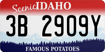 ID license plate 3B2909Y