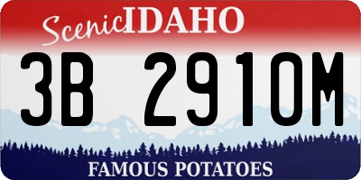 ID license plate 3B2910M
