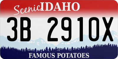 ID license plate 3B2910X