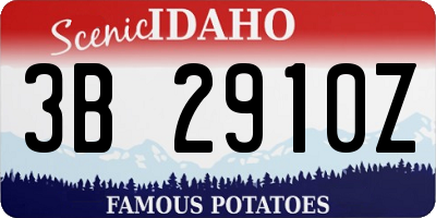 ID license plate 3B2910Z