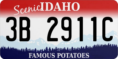 ID license plate 3B2911C