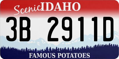 ID license plate 3B2911D
