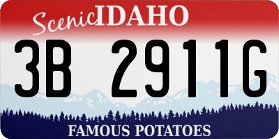 ID license plate 3B2911G