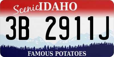 ID license plate 3B2911J