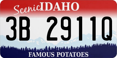 ID license plate 3B2911Q