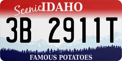 ID license plate 3B2911T