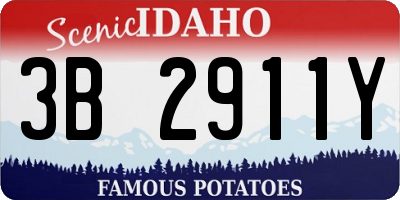 ID license plate 3B2911Y