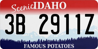 ID license plate 3B2911Z