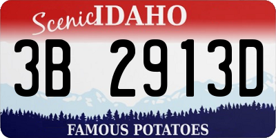 ID license plate 3B2913D