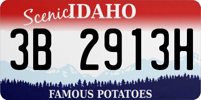 ID license plate 3B2913H