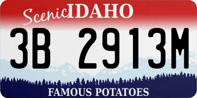 ID license plate 3B2913M
