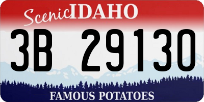 ID license plate 3B2913O