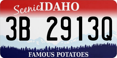 ID license plate 3B2913Q