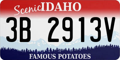 ID license plate 3B2913V