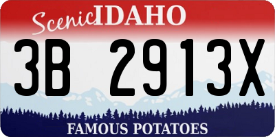ID license plate 3B2913X