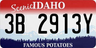 ID license plate 3B2913Y