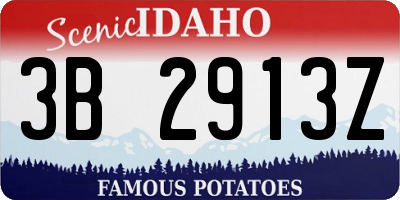 ID license plate 3B2913Z