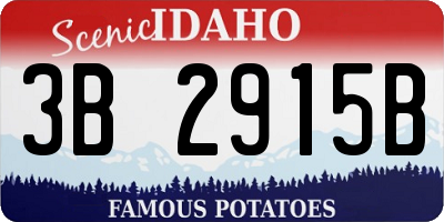 ID license plate 3B2915B
