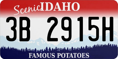 ID license plate 3B2915H