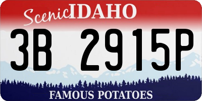 ID license plate 3B2915P