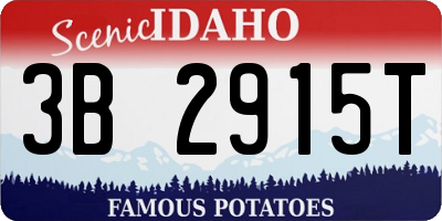 ID license plate 3B2915T