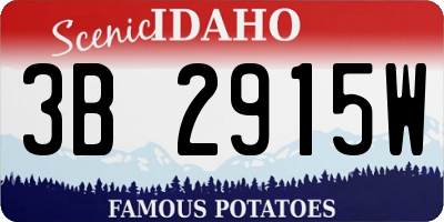 ID license plate 3B2915W