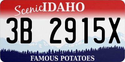 ID license plate 3B2915X