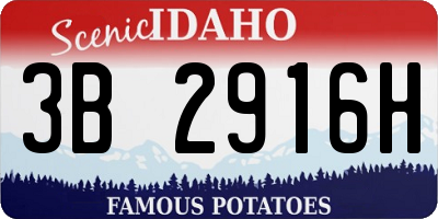 ID license plate 3B2916H