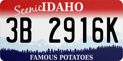 ID license plate 3B2916K