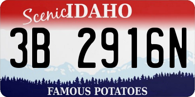ID license plate 3B2916N