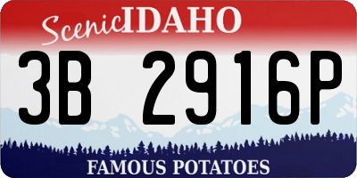 ID license plate 3B2916P