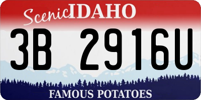 ID license plate 3B2916U
