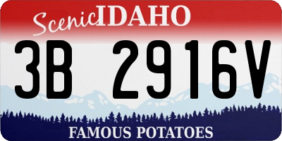 ID license plate 3B2916V