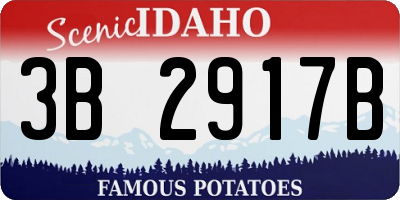 ID license plate 3B2917B