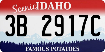 ID license plate 3B2917C