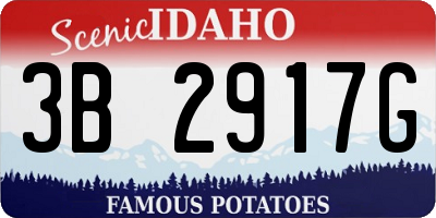 ID license plate 3B2917G