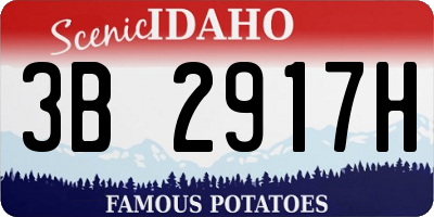 ID license plate 3B2917H