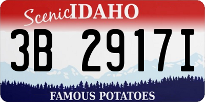 ID license plate 3B2917I