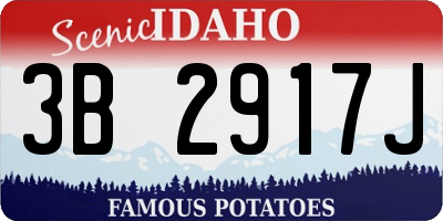 ID license plate 3B2917J