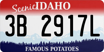ID license plate 3B2917L