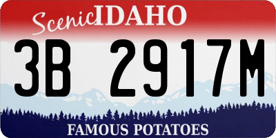 ID license plate 3B2917M