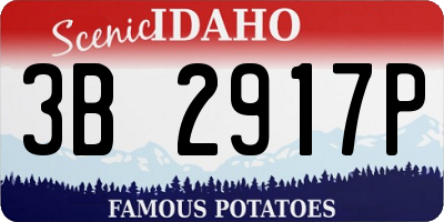 ID license plate 3B2917P