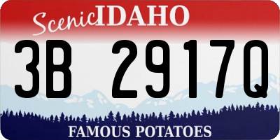 ID license plate 3B2917Q