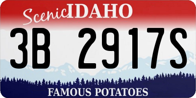 ID license plate 3B2917S