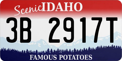 ID license plate 3B2917T