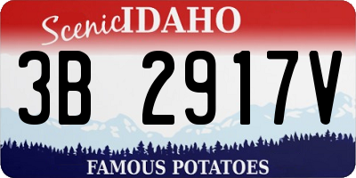 ID license plate 3B2917V