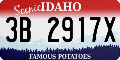 ID license plate 3B2917X